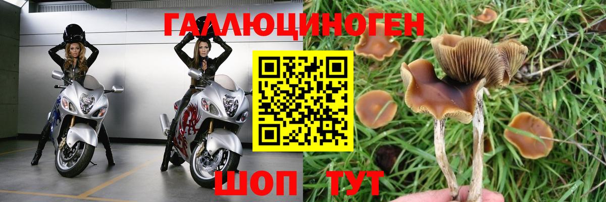 Псилоцибиновые грибы MAGIC MUSHROOMS Похвистнево