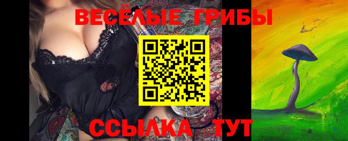 Похвистнево  Псилоцибиновые грибы ЛСД  Вход с VPN 